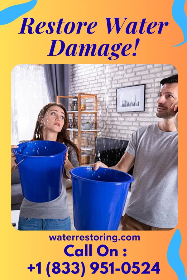 water restoration Coastal Water Damage Services Northwoods