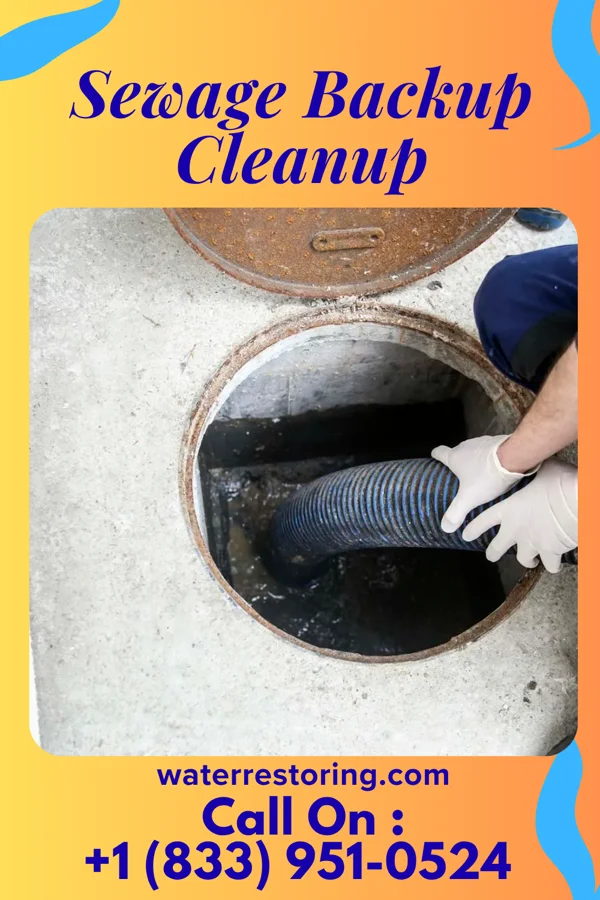 Sewage Backup Cleanup in Northwoods, MO